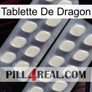 Dragon Tablet 07